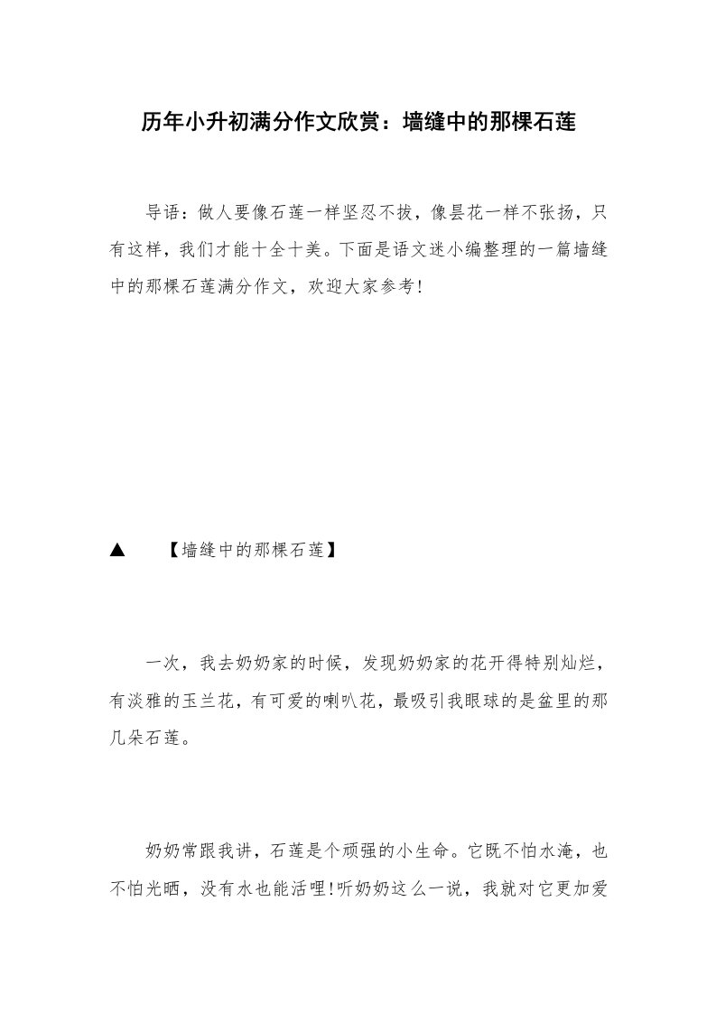 历年小升初满分作文欣赏：墙缝中的那棵石莲