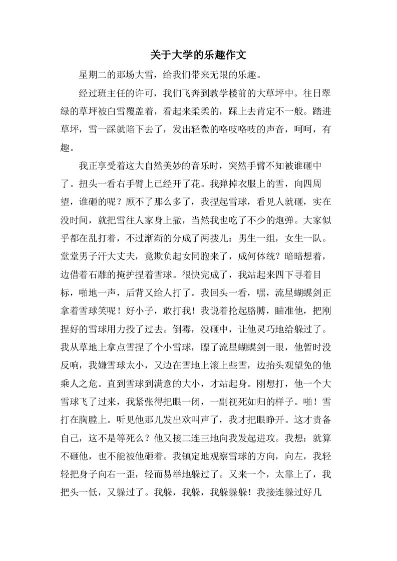 关于大学的乐趣作文