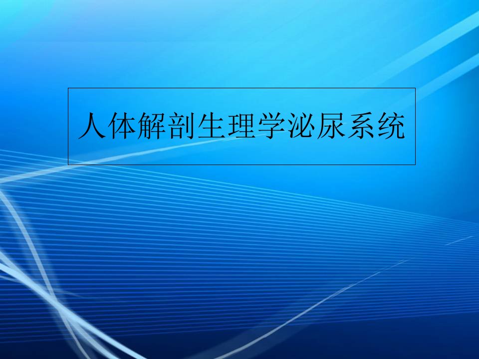 人体解剖生理学泌尿系统