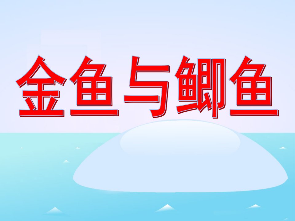 中班自然科学《金鱼与鲫鱼》PPT课件教案