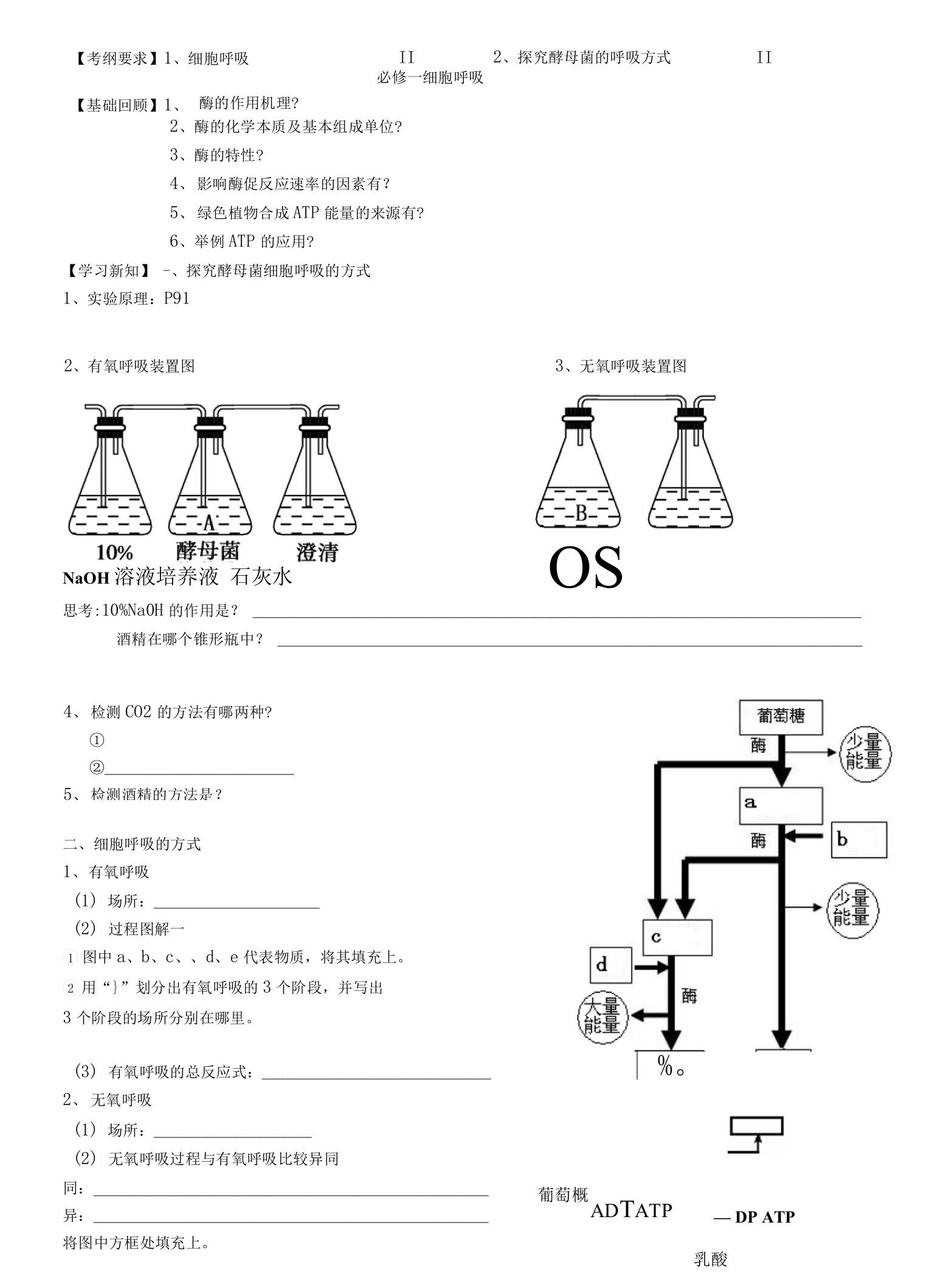 细胞呼吸