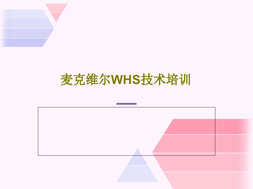 麦克维尔WHS技术培训PPT共81页