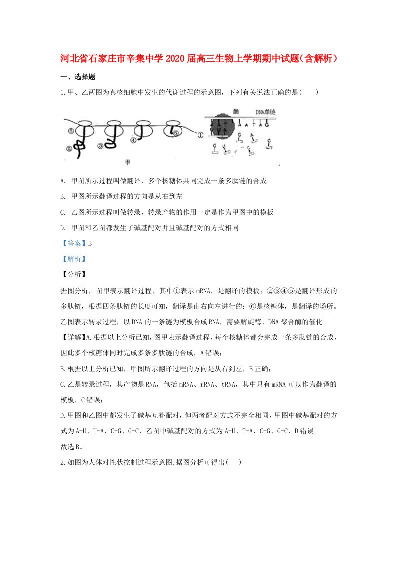 河北省石家庄市辛集中学2020届高三生物上学期期中试题含解析