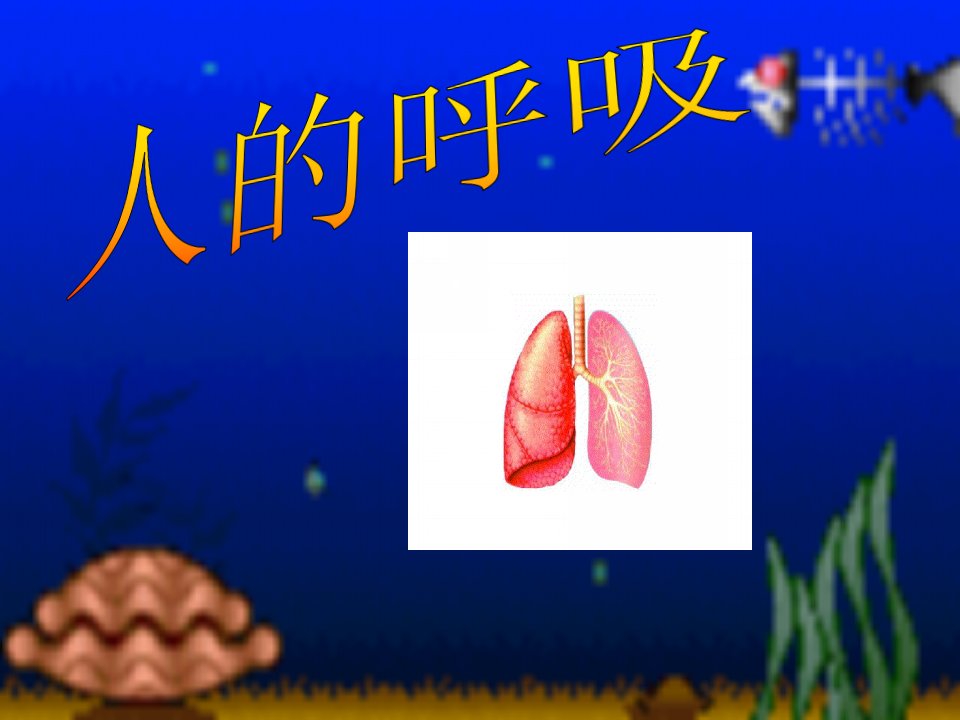 生物第3章人体的呼吸复习课件人教版七年级下