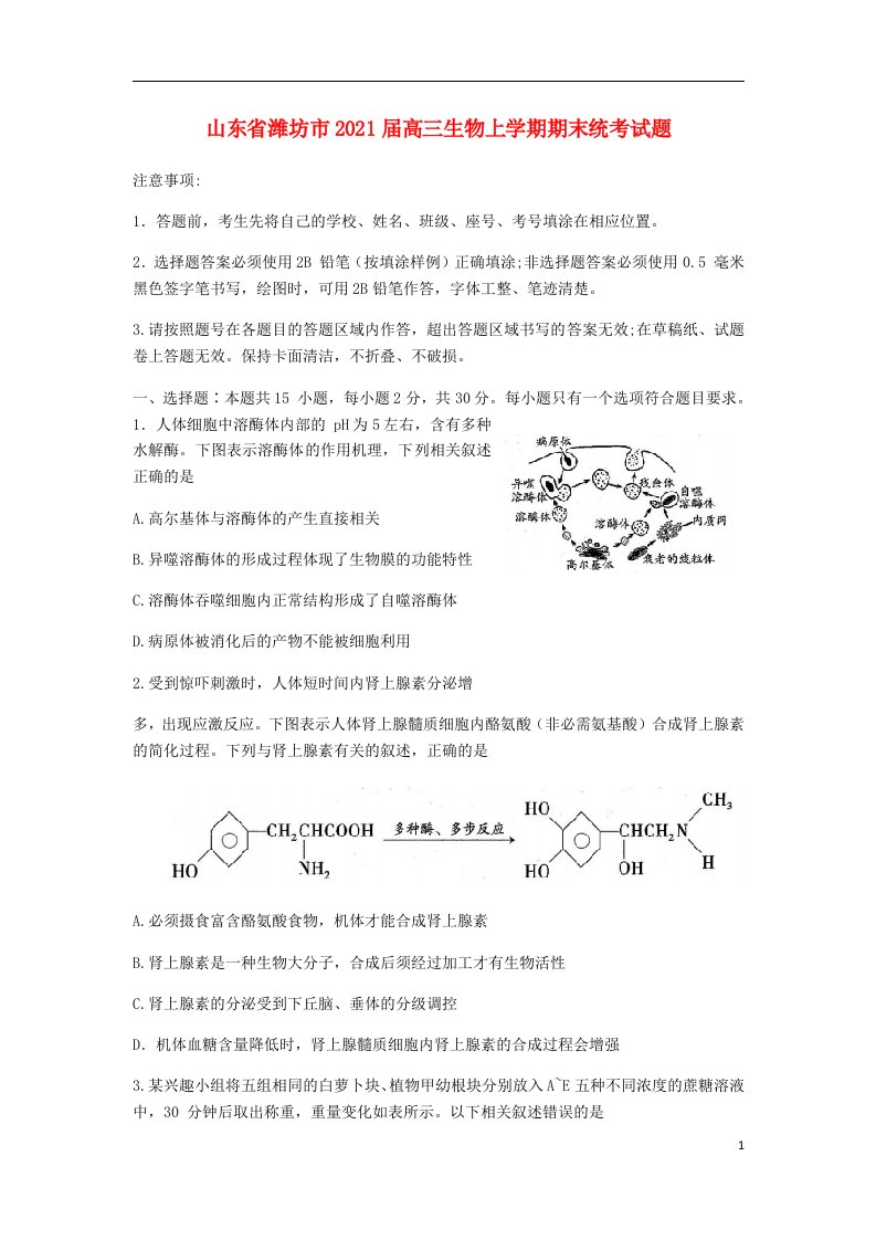 山东省潍坊市2021届高三生物上学期期末统考试题