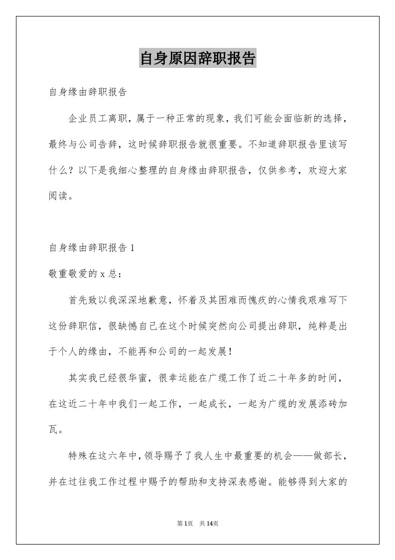 自身原因辞职报告精选