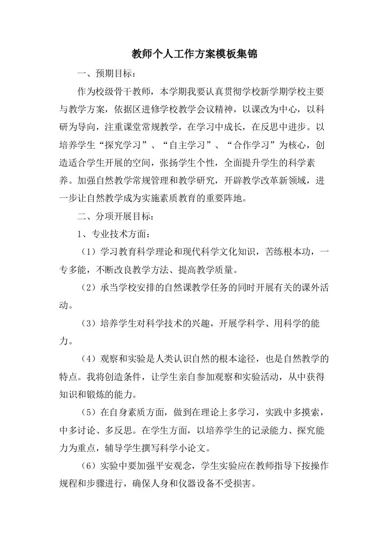 教师个人工作计划模板集锦