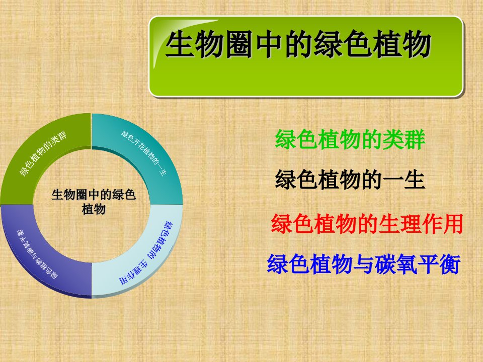 湖北省麻城市集美学校初中七年级生物上册