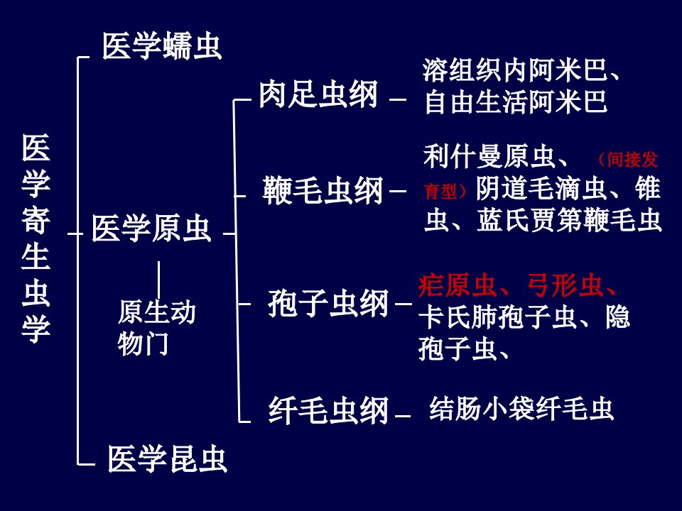 寄生虫总结2考试重点