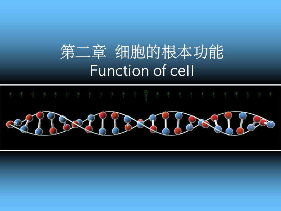 《细胞基本功能》