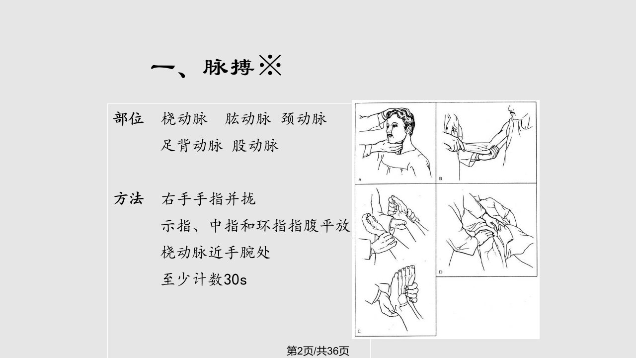 第诊断学心脏血管检查