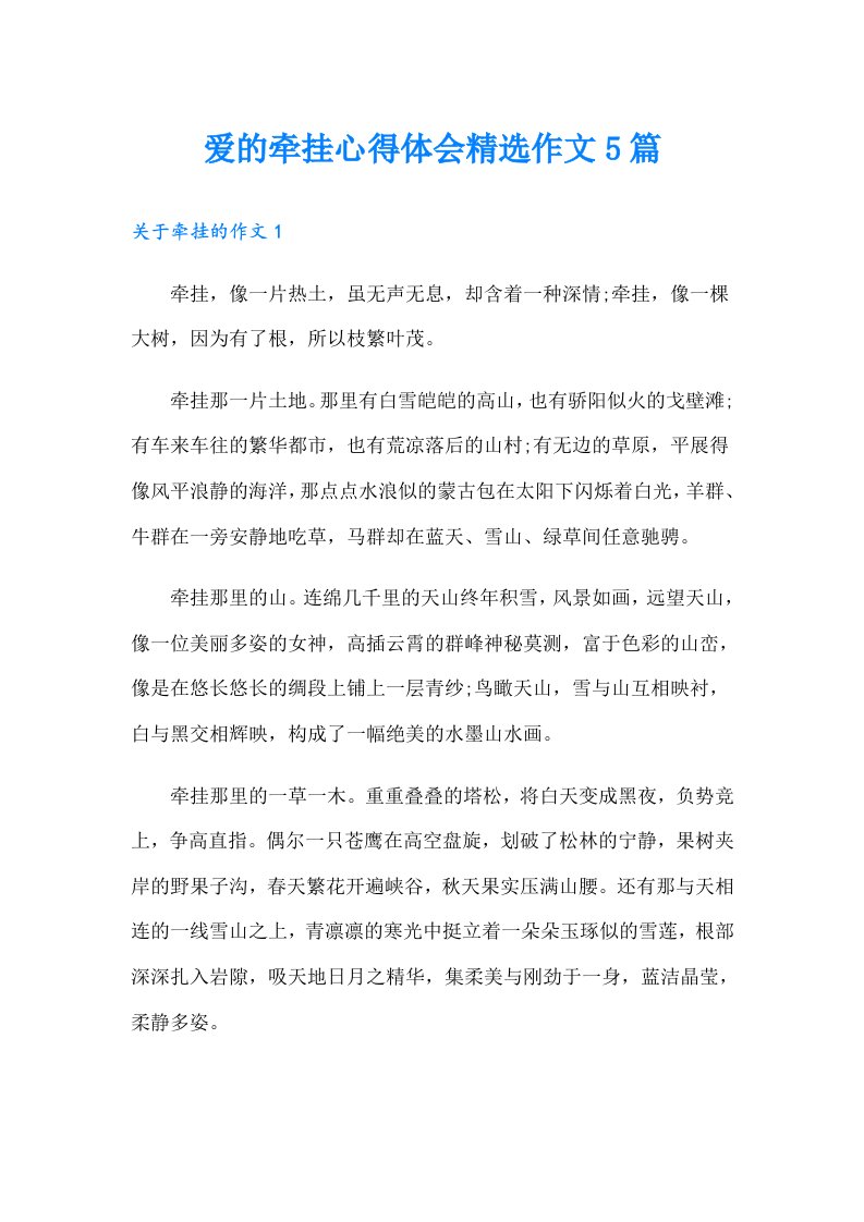 爱的牵挂心得体会精选作文5篇