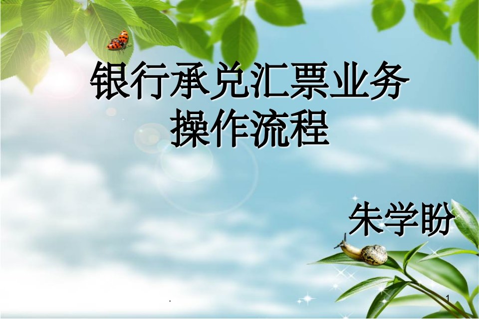 《银行承兑汇票》ppt课件