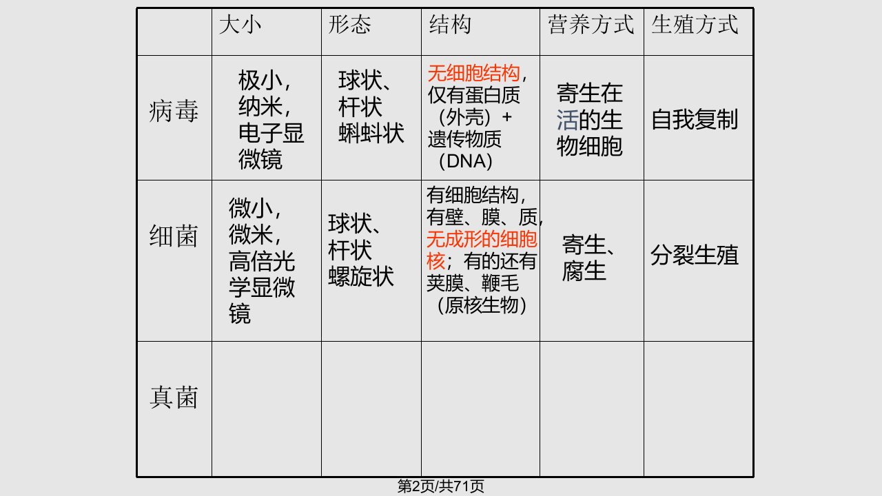 神奇的微生物