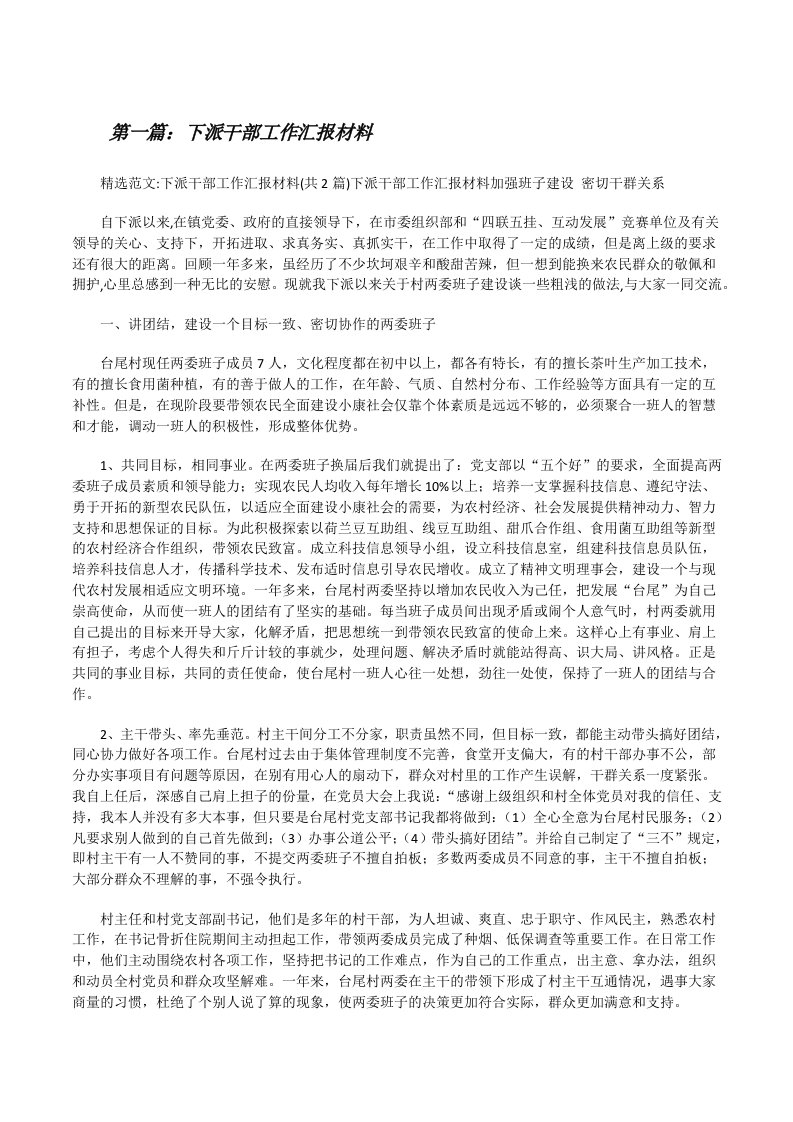 下派干部工作汇报材料（最终五篇）[修改版]