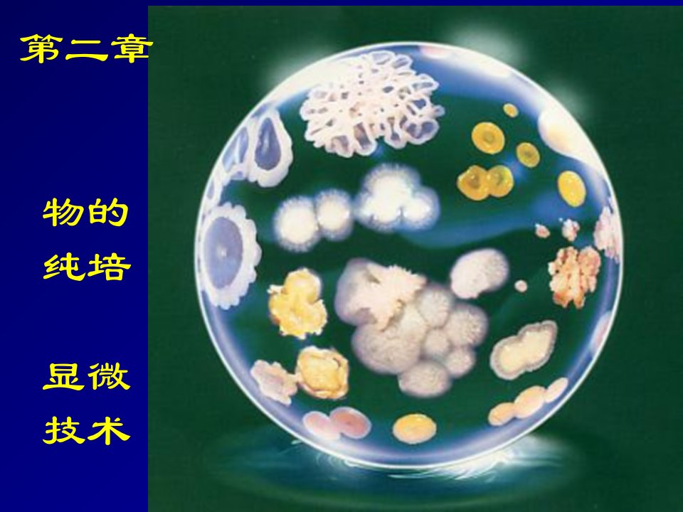 北工大微生物学2课件