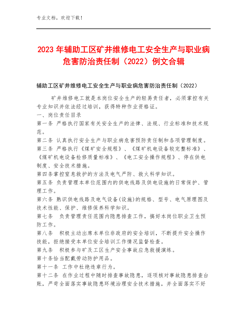 2023年辅助工区矿井维修电工安全生产与职业病危害防治责任制（2022）例文合辑