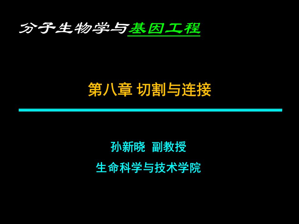 分子生物学与基因工程PPT课件