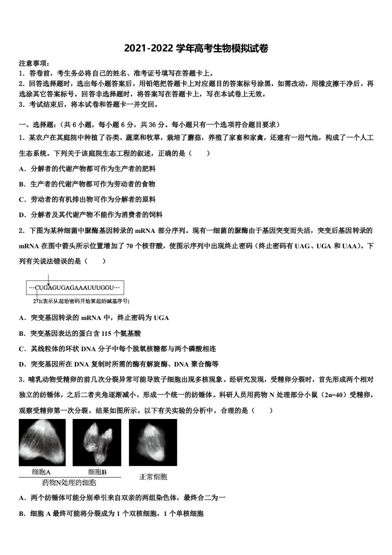 2021-2022学年河北省抚宁区第一中学高三下学期第六次检测生物试卷含解析