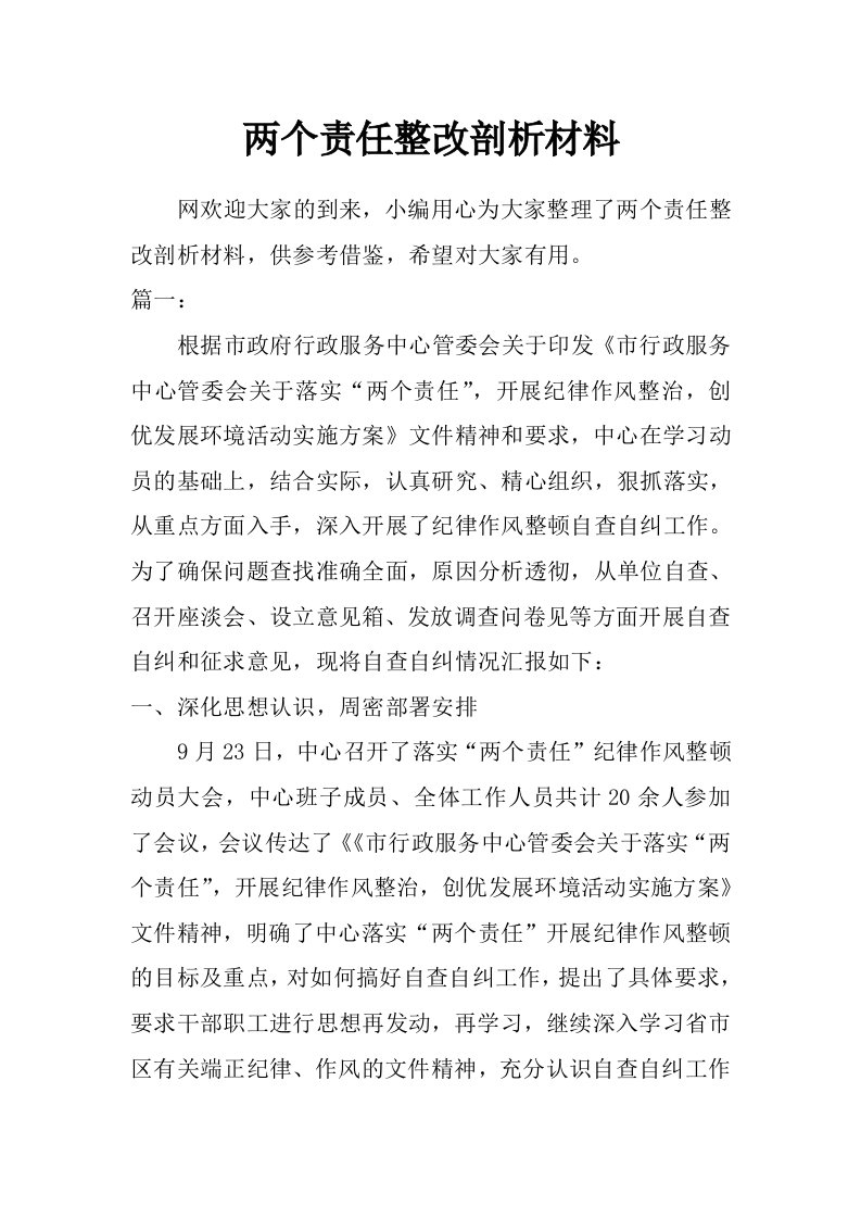 两个责任整改剖析材料