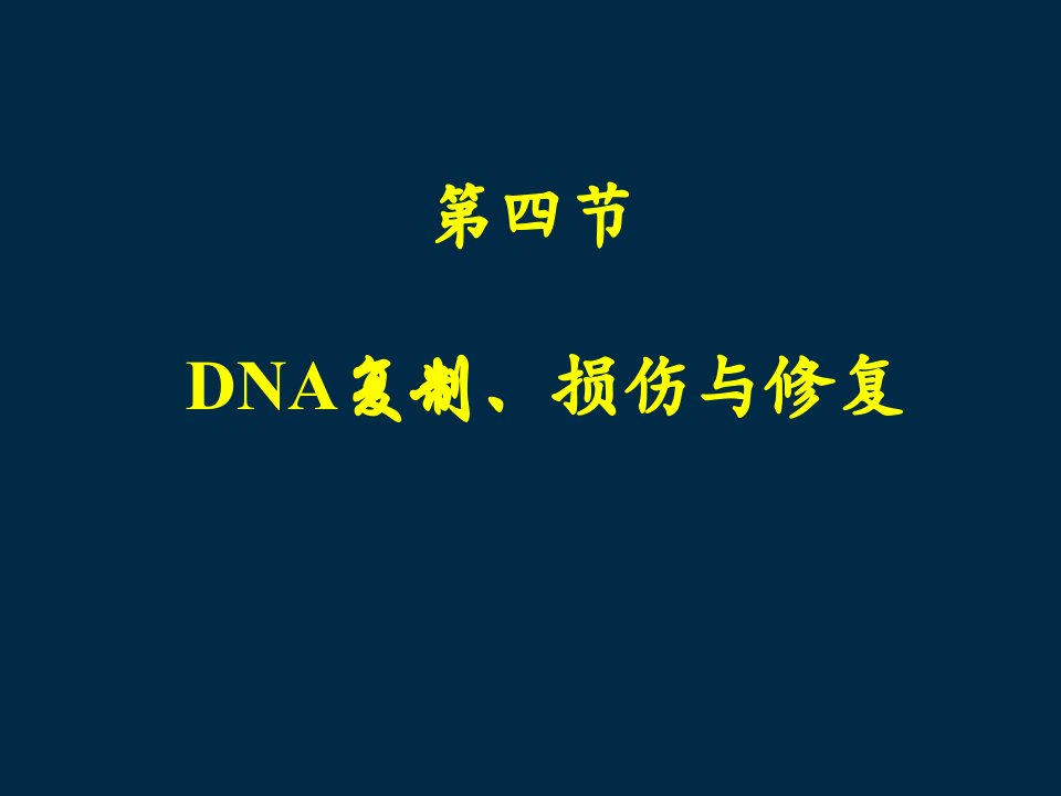 6分子生物学e