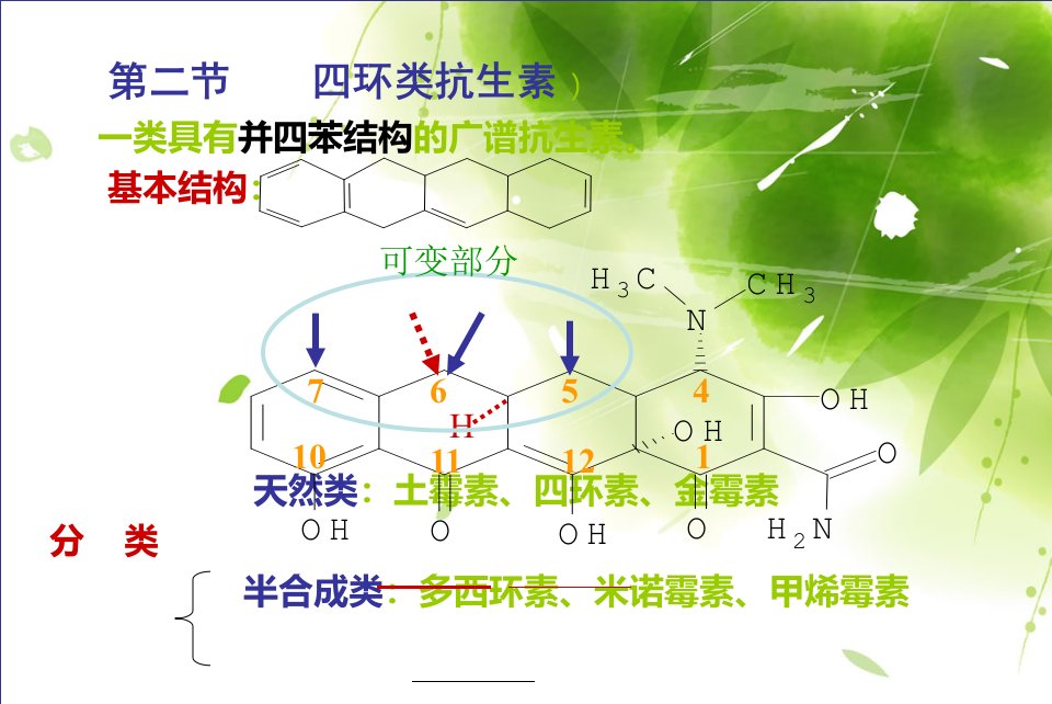 四环素类抗生素概述