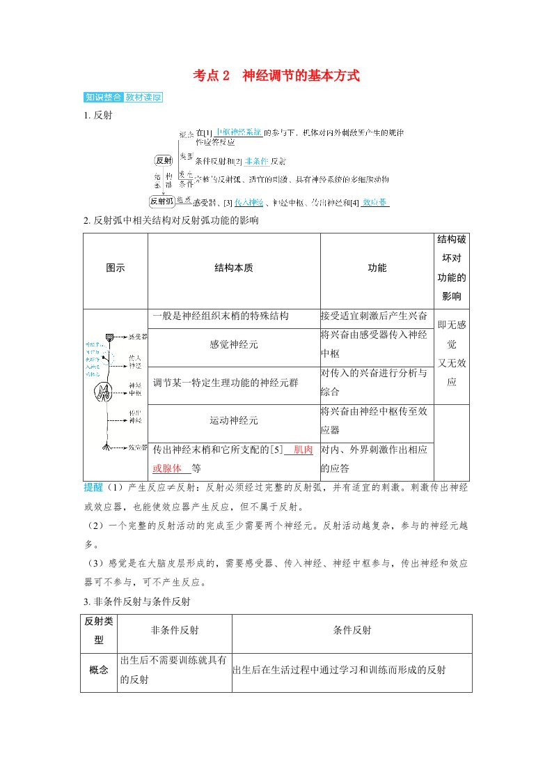 备考2024届高考生物一轮复习讲义第八章动物和人体生命活动的调节课时2神经调节的结构基础和基本方式考点2　神经调节的基本方式