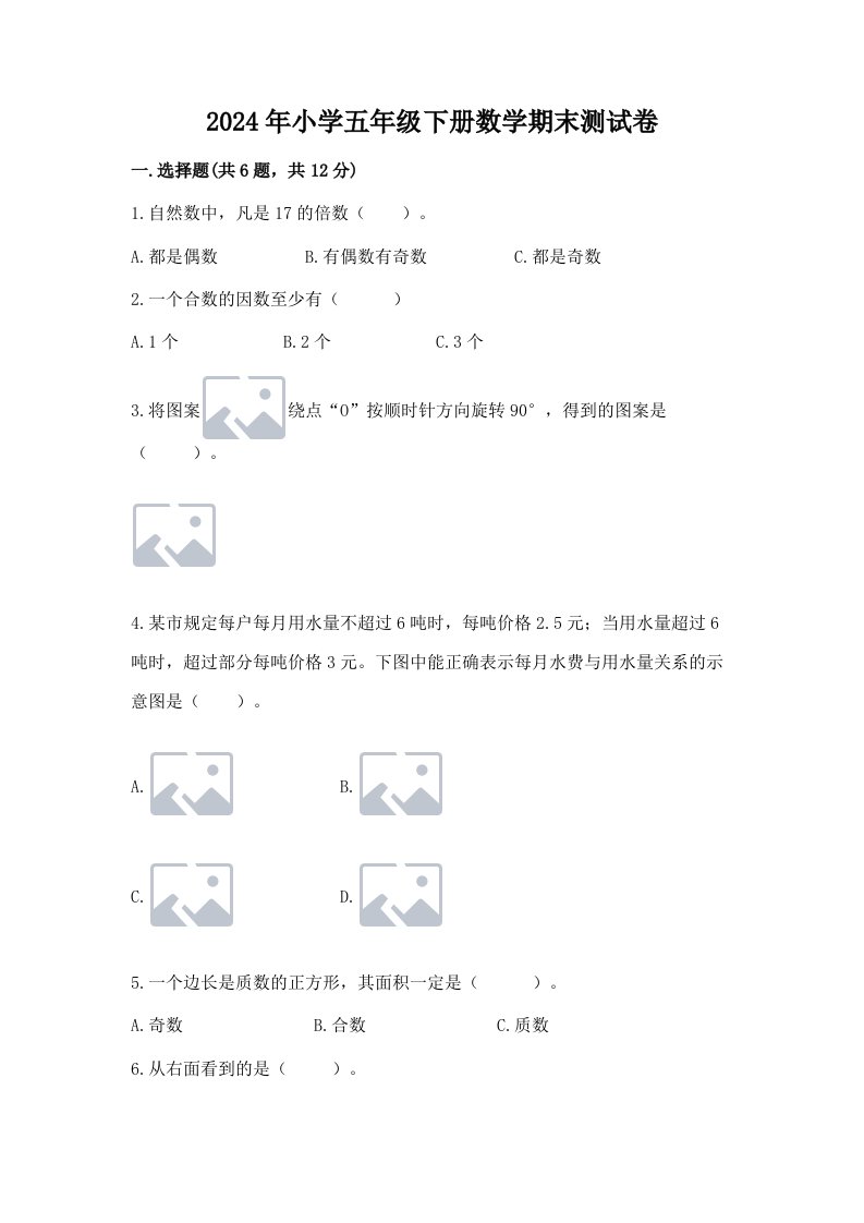 2024年小学五年级下册数学期末测试卷及完整答案（夺冠）