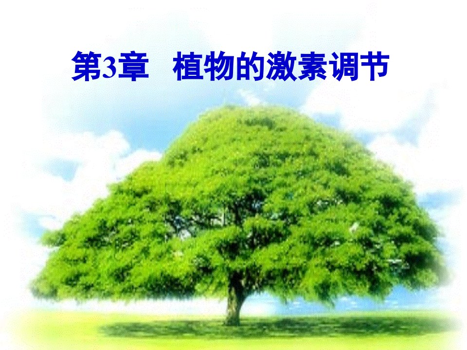 生物：第3章《植物的激素调节》复习课件(新人教版必修3)(1)