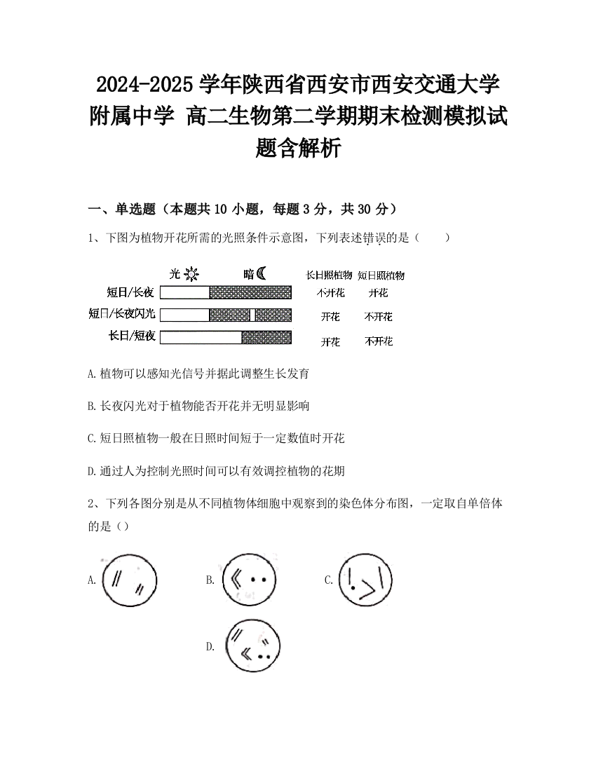 2024-2025学年陕西省西安市西安交通大学附属中学