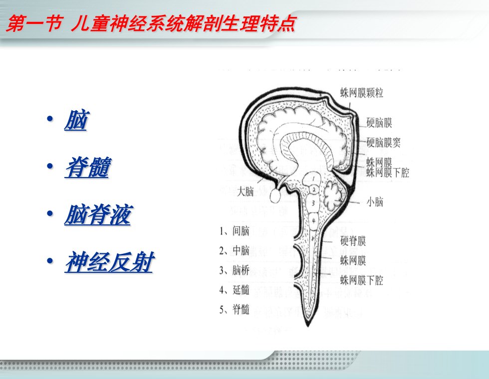 第十二章神经系统疾病患儿的护理ppt课件