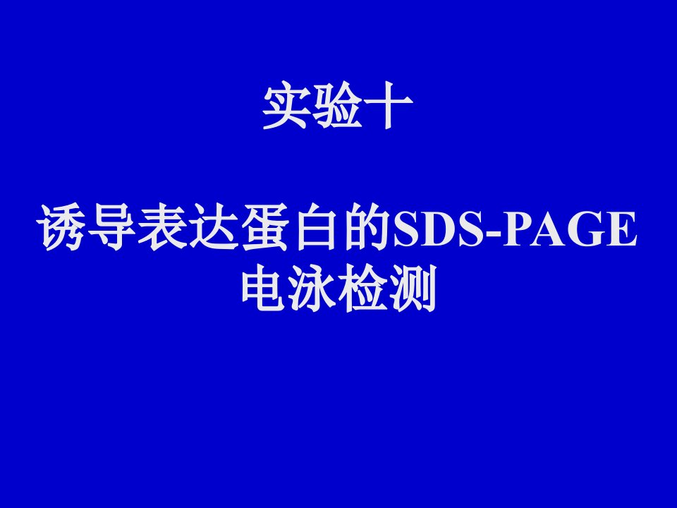 分子生物学实验课件：11蛋白质的SDS-PAGE电泳