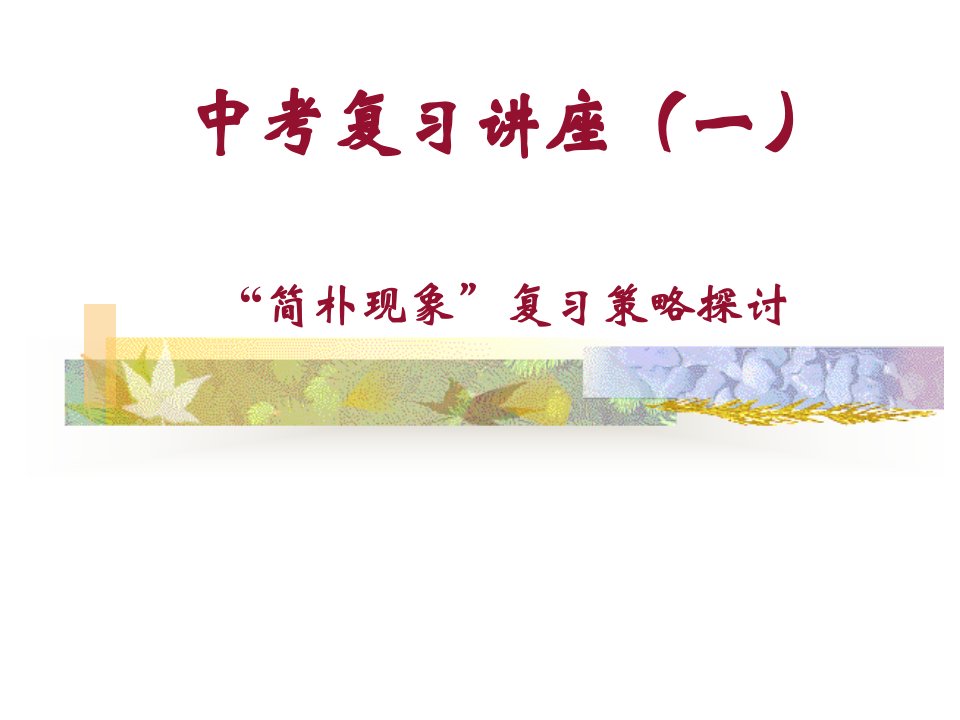 新课标中考物理复习研讨市公开课获奖课件省名师示范课获奖课件