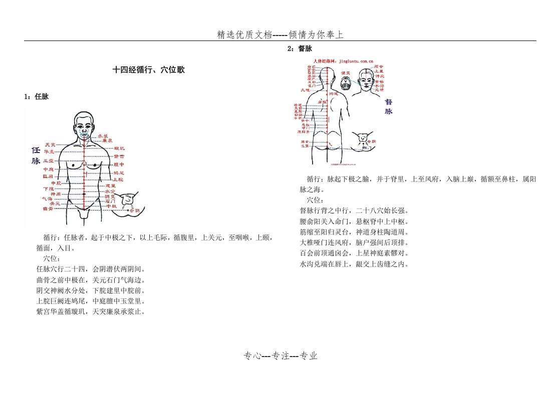 十四经络循行图示及病症歌诀(共18页)