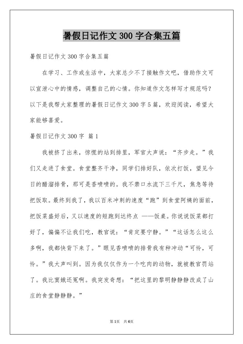 暑假日记作文300字合集五篇