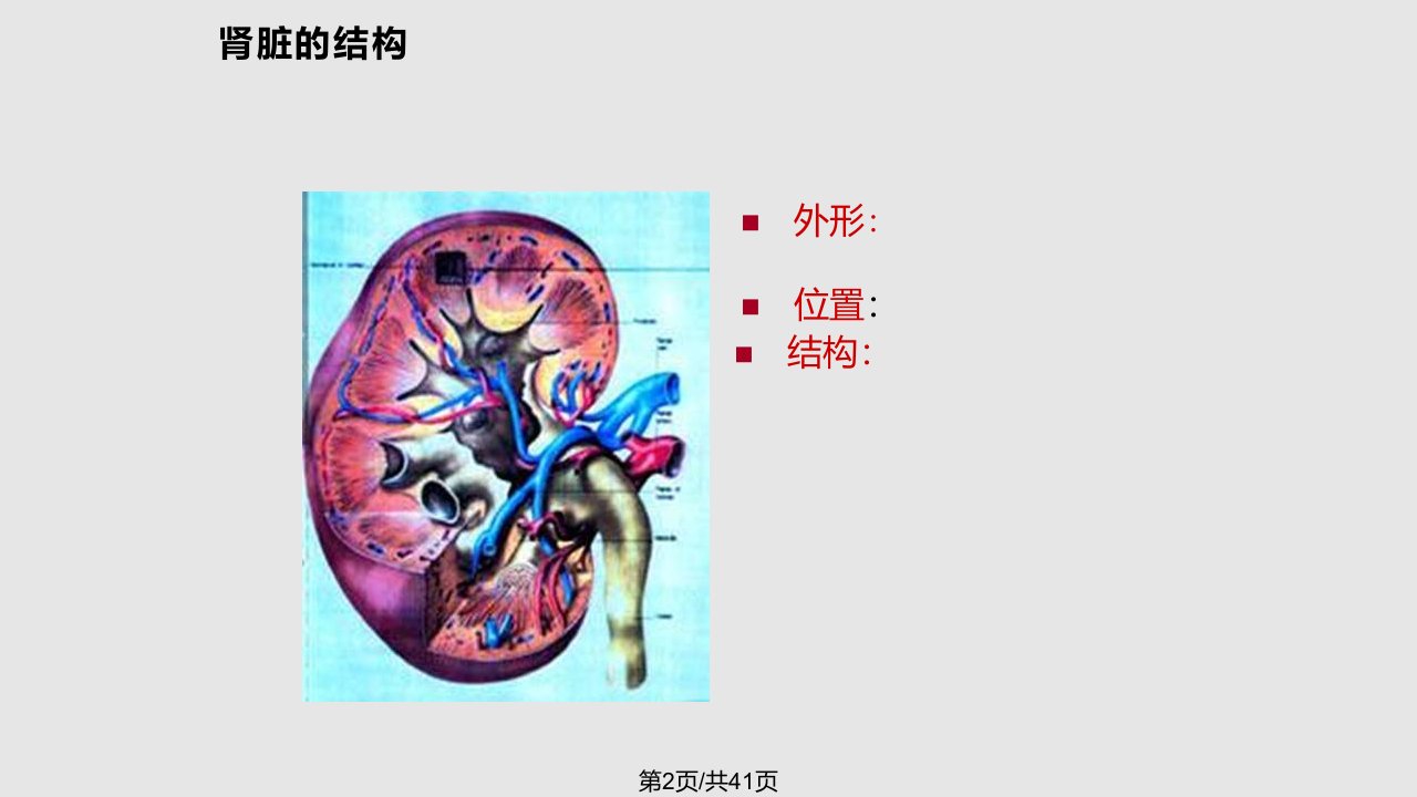 源头预防糖尿病肾病