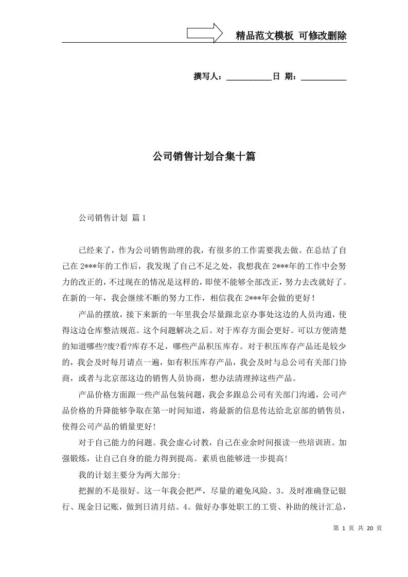 公司销售计划合集十篇一