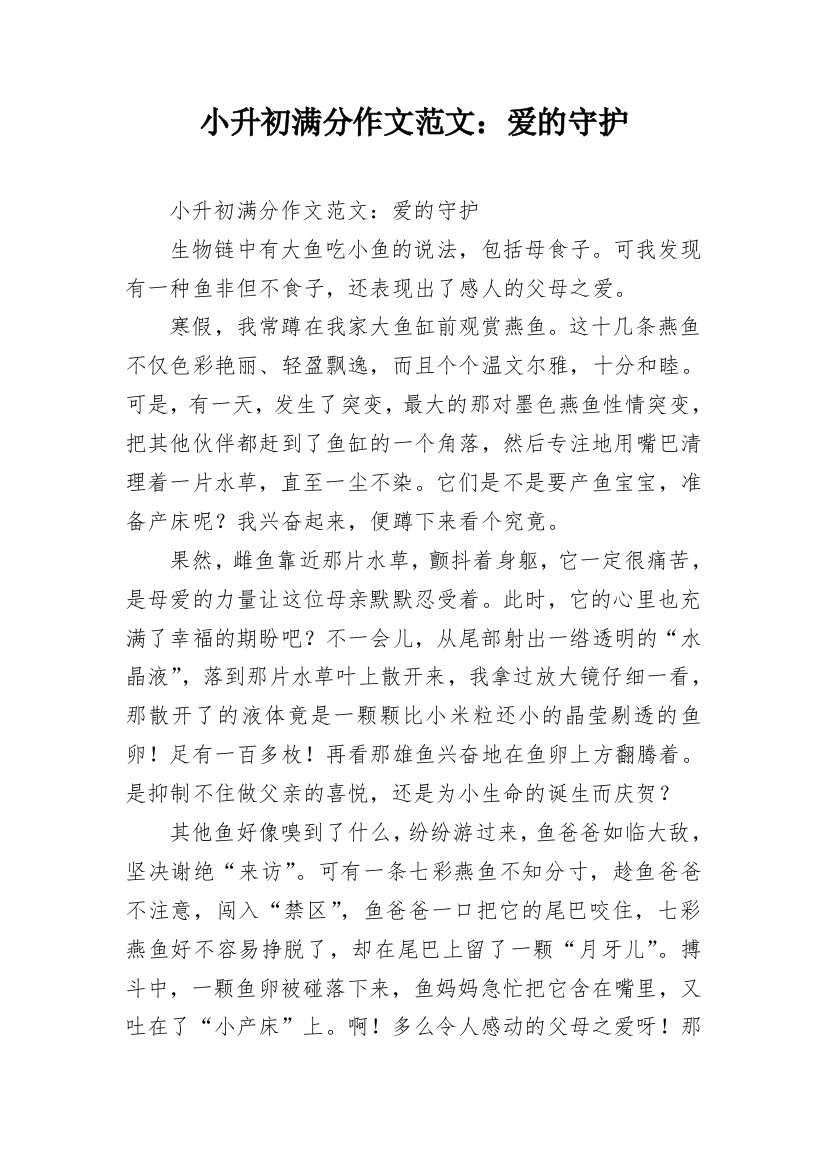 小升初满分作文范文：爱的守护