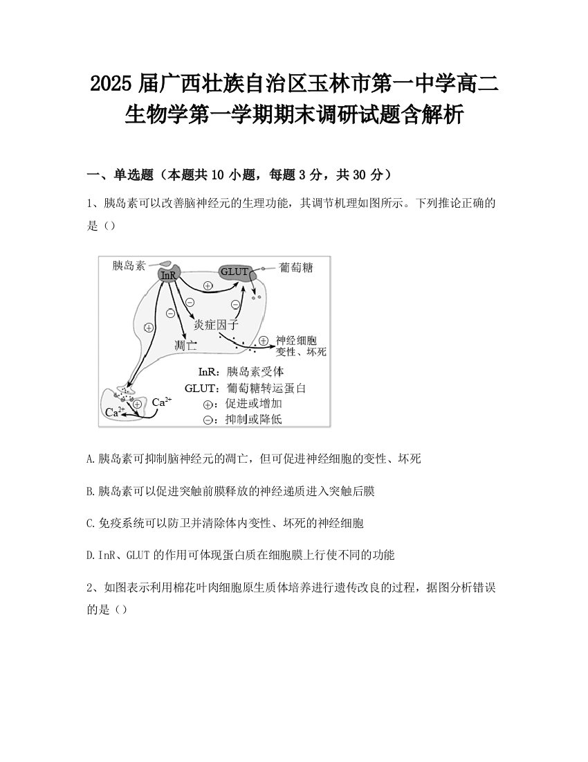 2025届广西壮族自治区玉林市第一中学高二生物学第一学期期末调研试题含解析