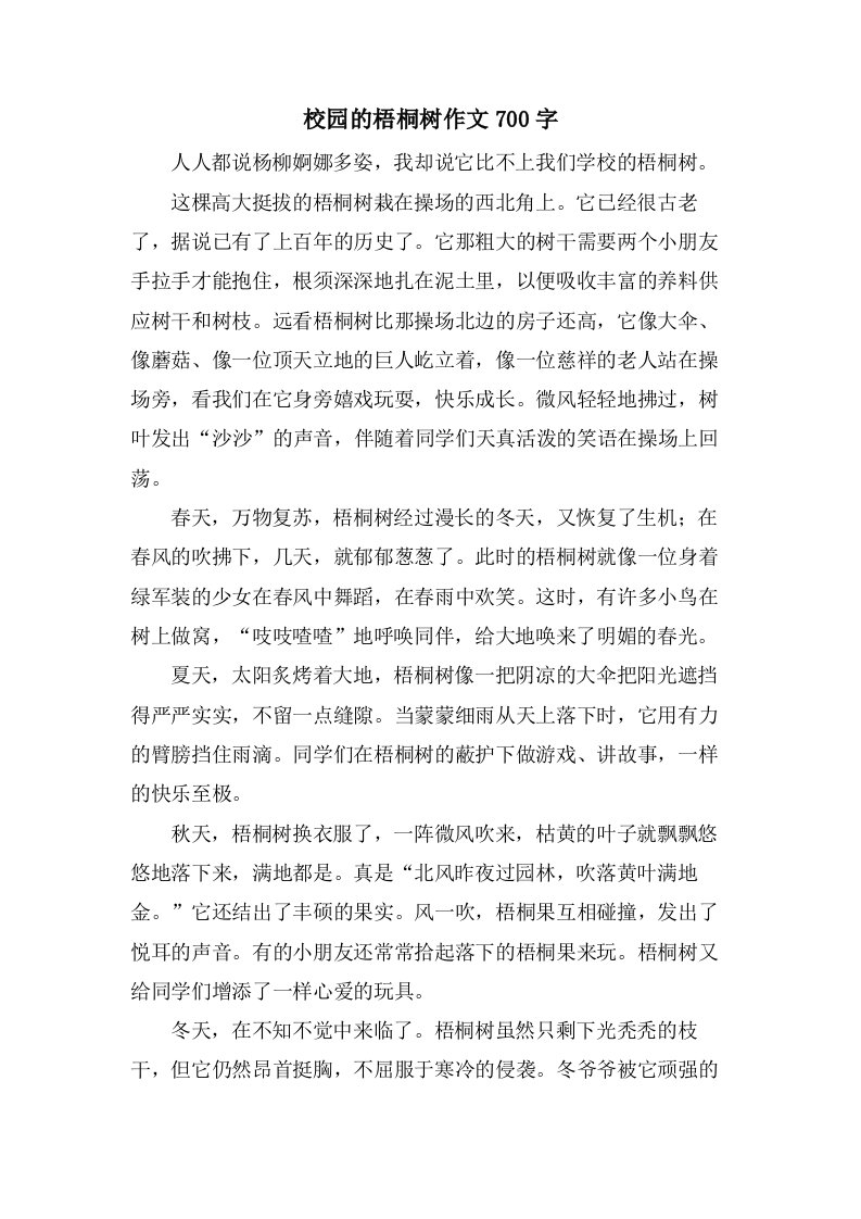 校园的梧桐树作文700字