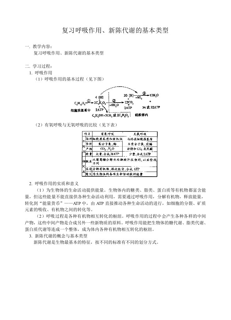 高中生物复习教桉呼吸作用、新陈代谢的基本类型