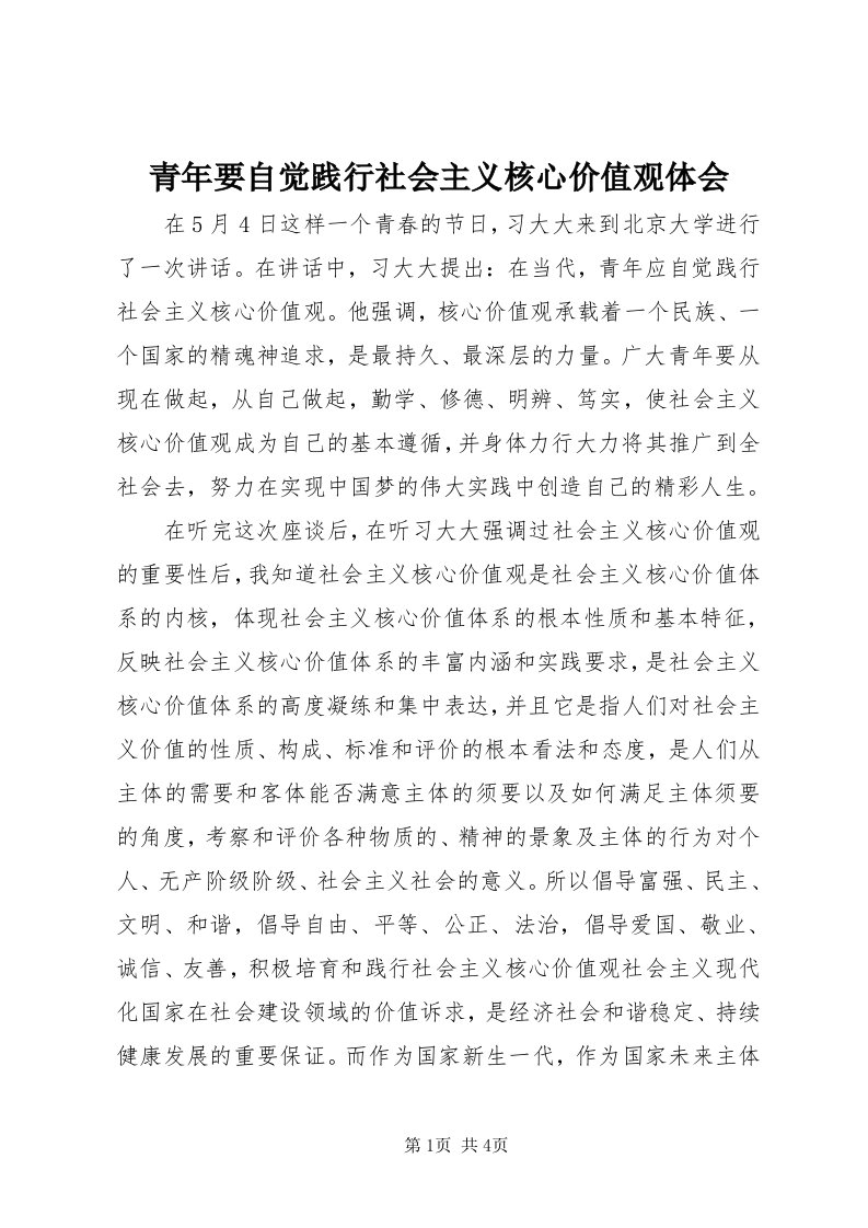 5青年要自觉践行社会主义核心价值观体会