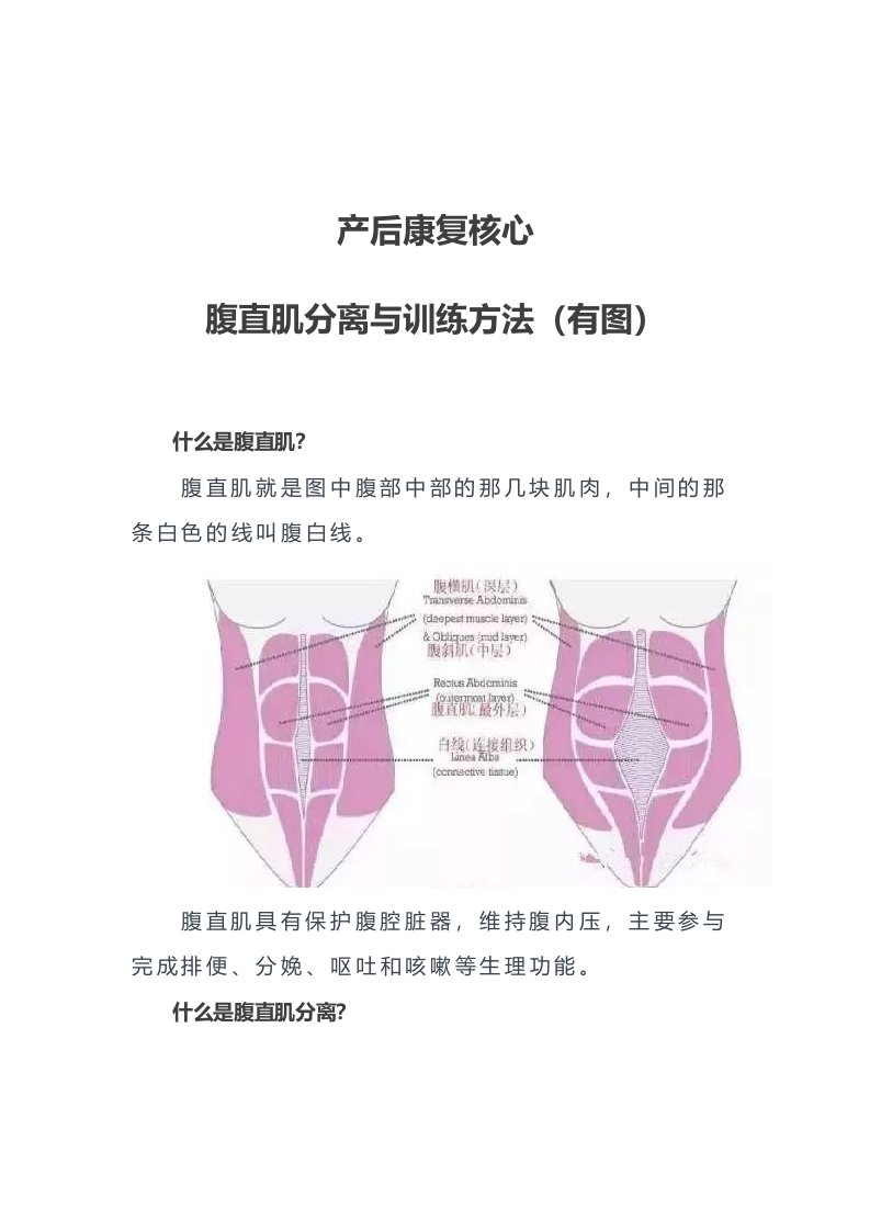 产后康复核心-腹直肌分离与训练方法(有图)