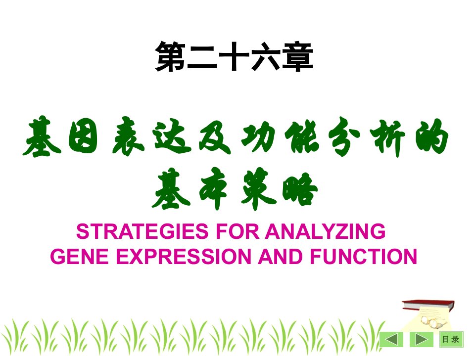 基因表达及功能分析基本策略