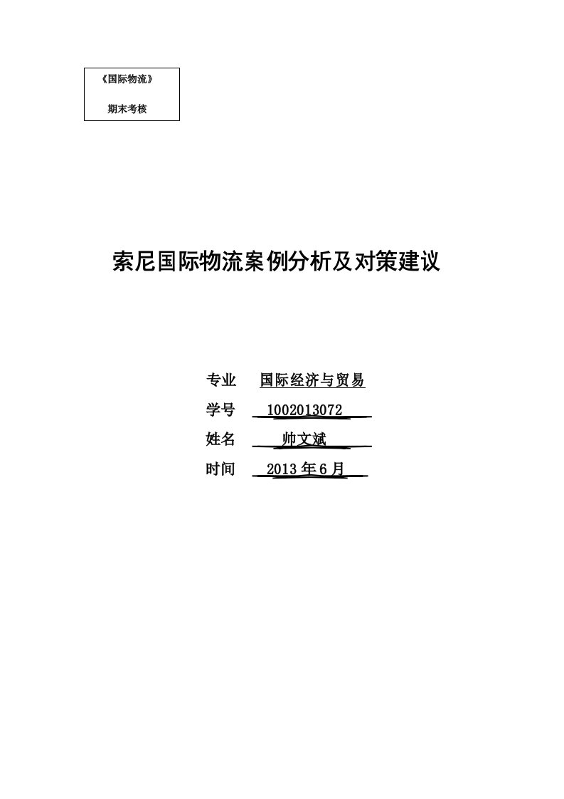 对索尼国际物流案例分析及对策建议