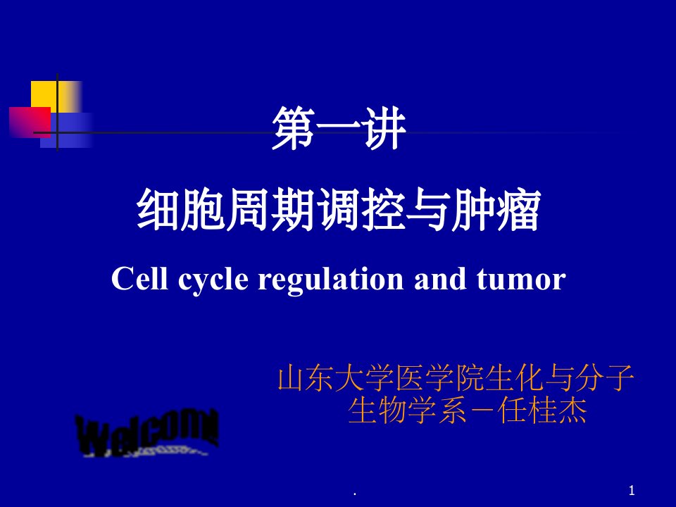 真核细胞周期调控与肿瘤ppt课件