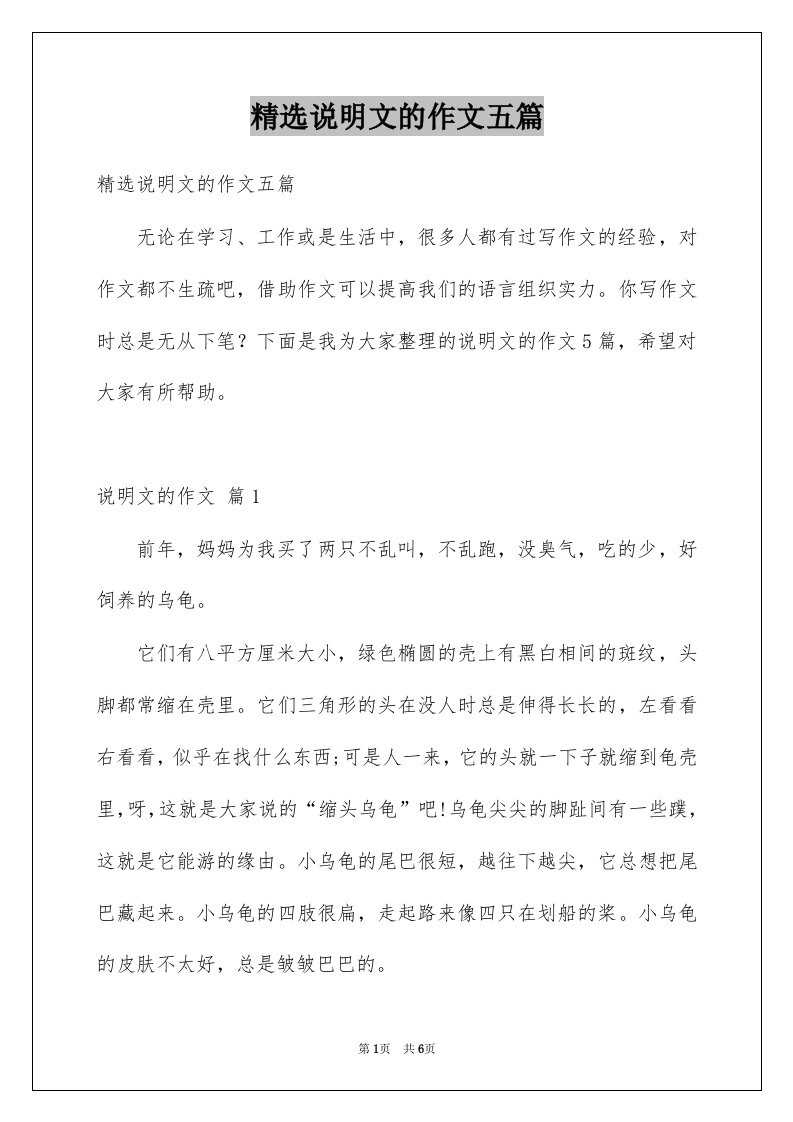 说明文的作文五篇例文