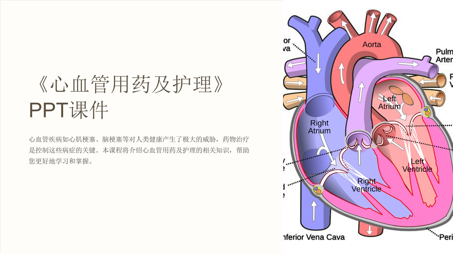 《心血管用药及护理》课件