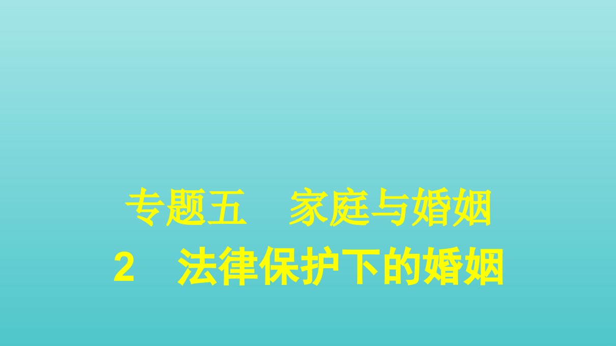 高中政治专题五家庭与婚姻2法律保护下的婚姻课件新人教版选修5