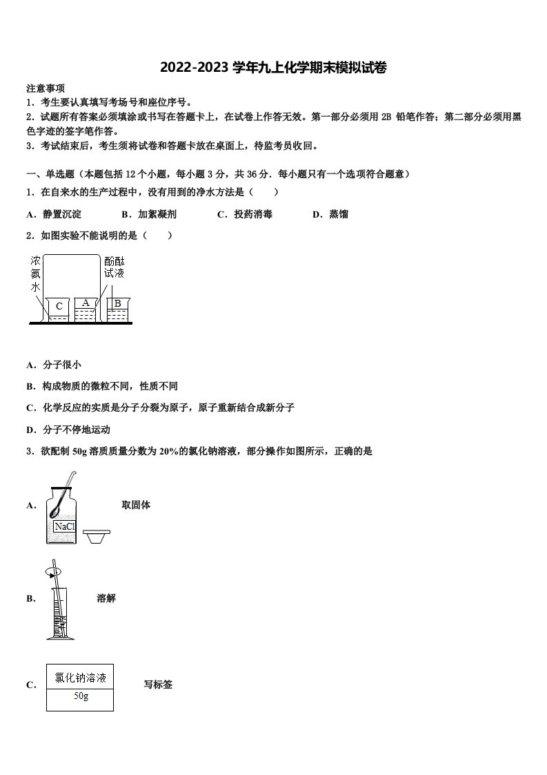 2023届山东省潍坊市寿光市九年级化学第一学期期末监测模拟试题含解析